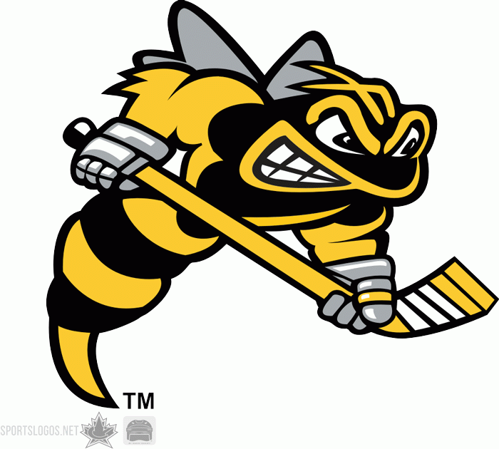 Sarnia Sting 1999-pres secondary logo iron on transfers for T-shirts